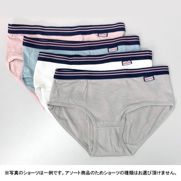 宮島桜 パンティ